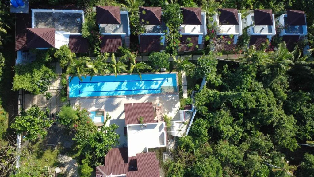 The garden and pools from above