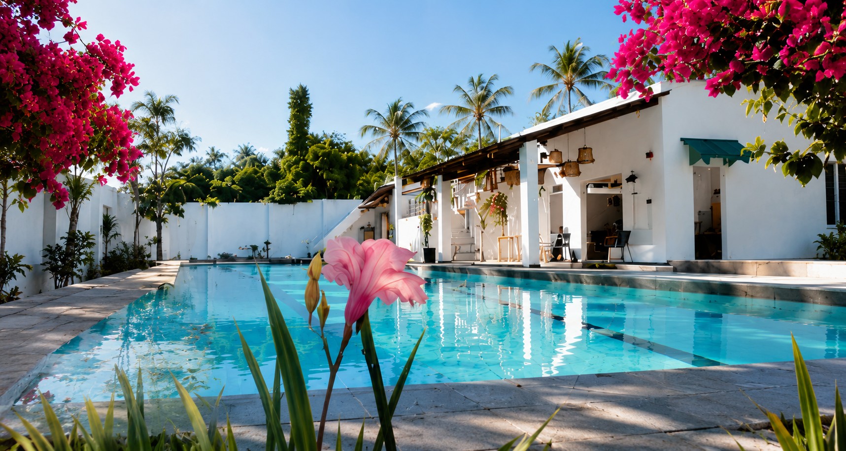 Bougainvillea by the pool at La Bonita